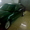 BMW-36  (M-41 1, 8tds) #155515