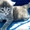 Симпатичные котята #249049