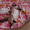 Котята - мальчик и девочка #343841