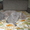 Котёнок ищет хозяина! #556580