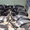 Honda Accord, Civic, CR-V, с2003-2011. #565337