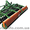 Дисковая борона Amazone Catros #608131