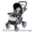 2 в 1 Peg-Perego Aria Uno #746256