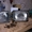 Фары для Mercedes MB 410 #862506