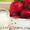 Постройте бизнес с компанией Forever Living Products #912691
