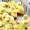 Инкубация яиц разных видов птиц #934824