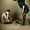 Фотостудия от «Amore Agency»  #925303