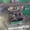 продам фрезерный станок 6р81  #947200