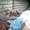отдам красивых котят #961083