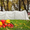 Парник 4 метра,  Купить парник #1065187