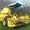 29.Компания Harvesto продает Зерноуборочный комбайн  New Holland 8040 #1151307