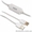 ProLink USB data Tnansfer cable (for Windows & MAC) #1200505