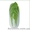 Семена пекинской капусты KS 374 F1 (Китано) #1279045