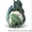 Семена цветной капусты MISORA F1 / МИСОРА F1 фирмы Китано #1278793