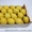 Продаем лимоны из Испании #1328955