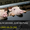 Установка видеонаблюдения для свиноферм #1532715