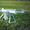 Аерозйомка квадрокоптером 4К. Відео- та фотозйомка урочистих подій #1607778