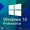 Microsoft Windows 10 Professional – для дома и малых организаций #1642486