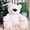 Мягкая игрушка медведь сидячий «Бублик» 70 см. Белый #1642984