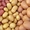 Продам картофель посевной 1 репродукции. #1646225