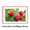Саджанці смородини,  ожини,  малини,  журавлини,  лохини в Україні #1649075