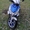 Продам скутер Viper Grace 150 кубов #1680917