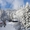 Туры на горнолыжные курорты украины #1718164