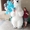 Белый Мишка Гиганских размеров Аниматор на экспрес поздравление от 800 грн + дор #1727946