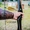 Лучный тир - Archery Kiev,  стрельба из лука в Киеве на Оболони  - Тир Лучник #1737505