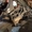 Панель бокова НАКИДКА Mitsubishi Mitsubishi Colt 2004-2010 #1746671