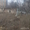 Ірпінь , провул.,  Панаса Мирного,  11 соток,  220000 у.о #1748171