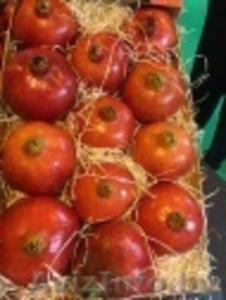 продаем гранат из Испании #1337543