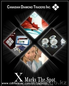 Проверенный и уникальный бизнес с CDT Inc. #26899