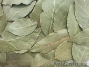 Лавровый лист и специи из Грузии #355597