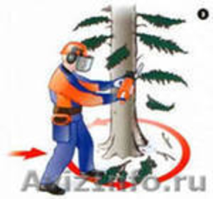 Спил(обрезка) деревьев,  распиловка дров у вас на дому #403270