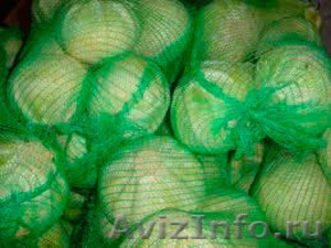 Капуста б/к,  пекинка,  цветная #500833