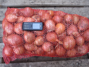 Продам отборный картофель,  лук,  морковь. #527927