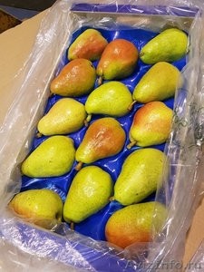 Продаю груши из Испании #1406266