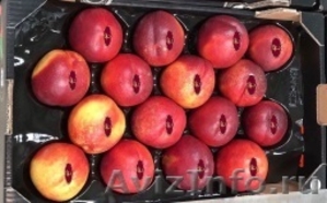 Продаем нектарины из Испании #1366005