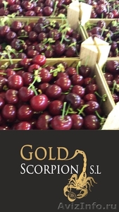 Продаем черешю из Испании #1366003