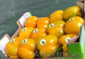 продаем перец из Испании #1337540