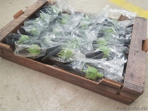 продаем баклажаны из Испании #1337547