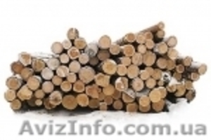 Лес-кругляк  (дуб,  бук,  ясень,  сосна,  пихта (смерека)) #4279