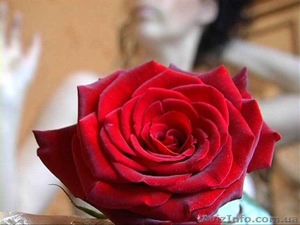 Видео-фотосьёмка  #4142