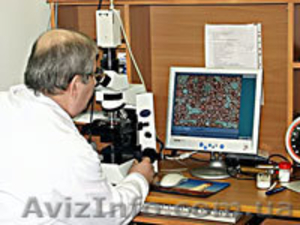 Тестирование организма по живой капле крови #4305