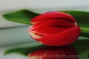 фотокартины под заказ #4486