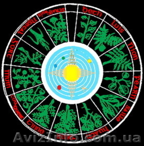 Требуются доноры Био-поля #5009