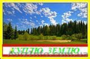 Куплю участок  в Броварах и районе  у хозяина .   #4490