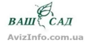 Оптовая продажа цветов, горшков, грунтов #5657