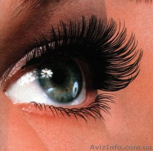 Наращивание ресниц в Полтаве - 200 грн #5125